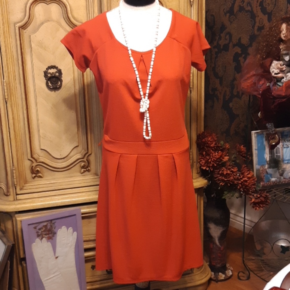Womens Red Pink tonedJM Simple Dress Plain XL B9 JONATHAN MARTIN